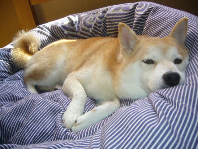 e0131506_18552928.jpg