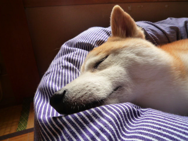 e0131506_20122889.jpg