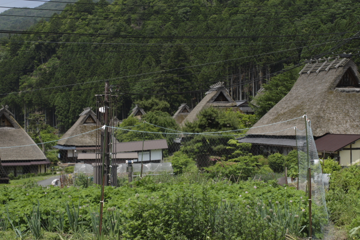 美山　茅葺の里　　前編_a0117507_20534238.jpg