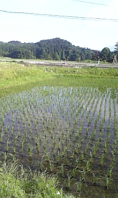 d0005807_784142.jpg