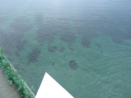 f0201310_13242876.jpg