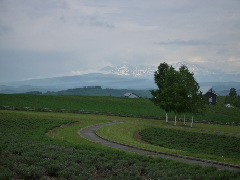 c0002614_23393669.jpg