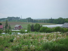 念願の母子二人旅 in 北海道_c0002614_23463823.jpg