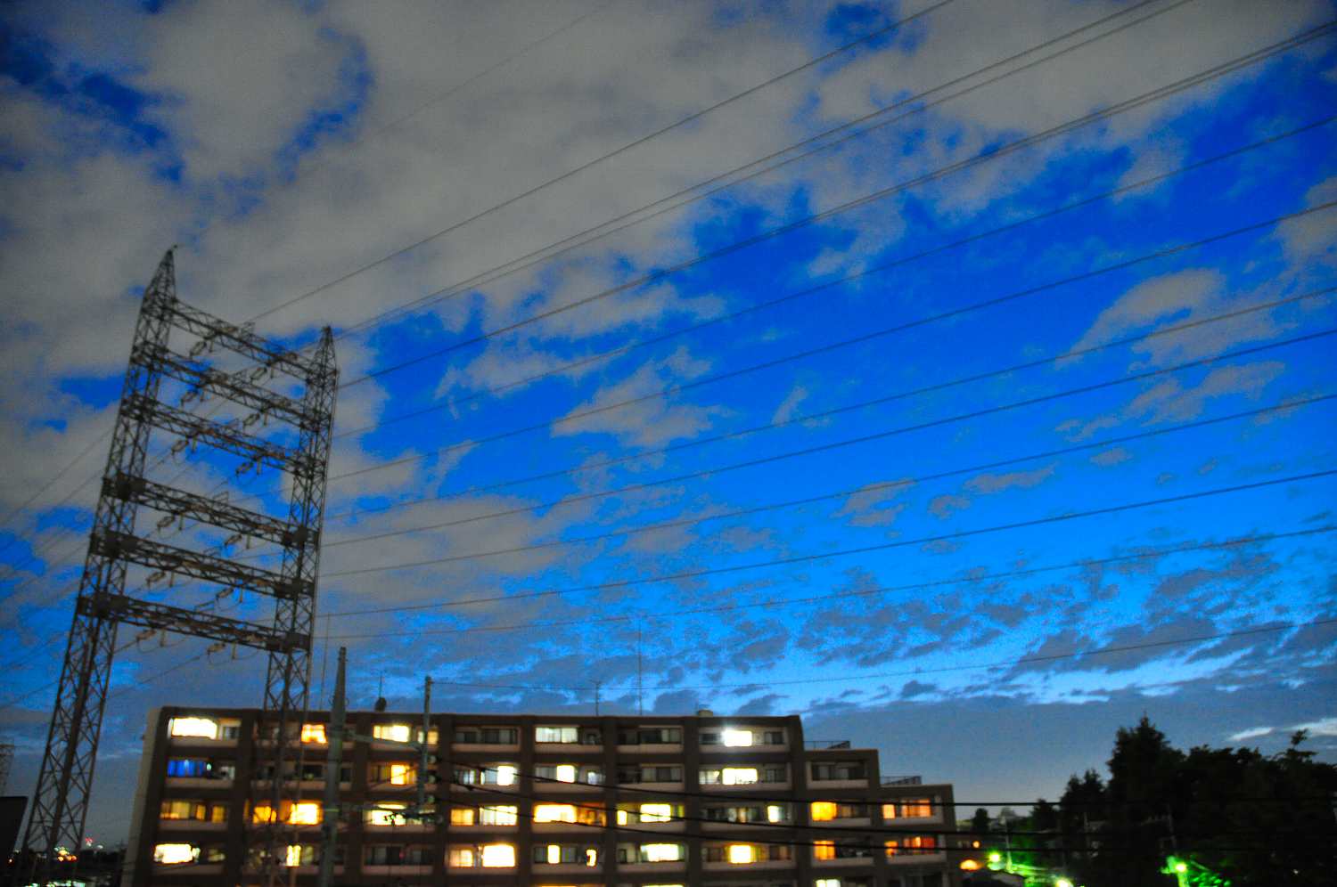b0181516_11344476.jpg