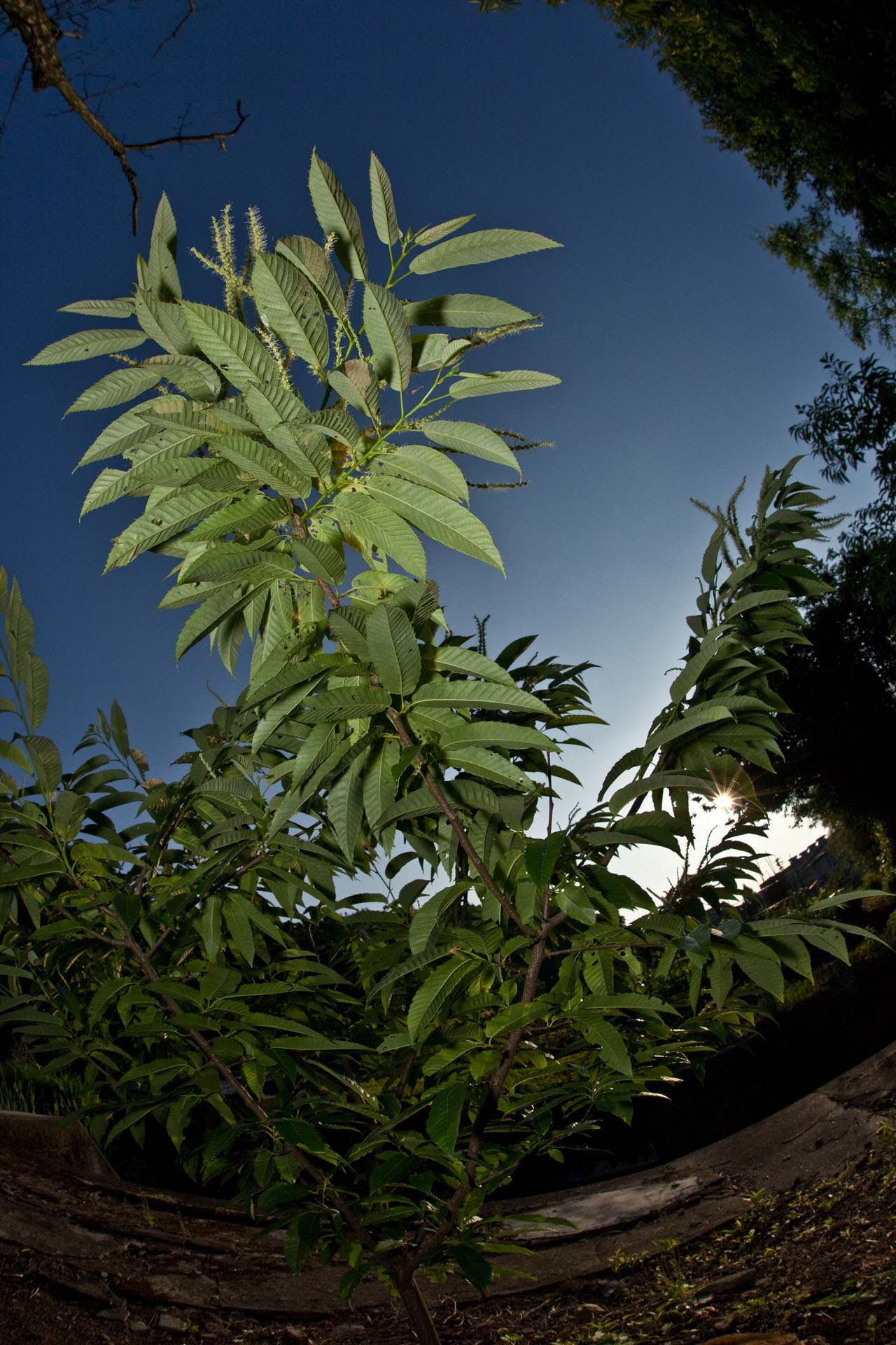 d0073620_21211116.jpg