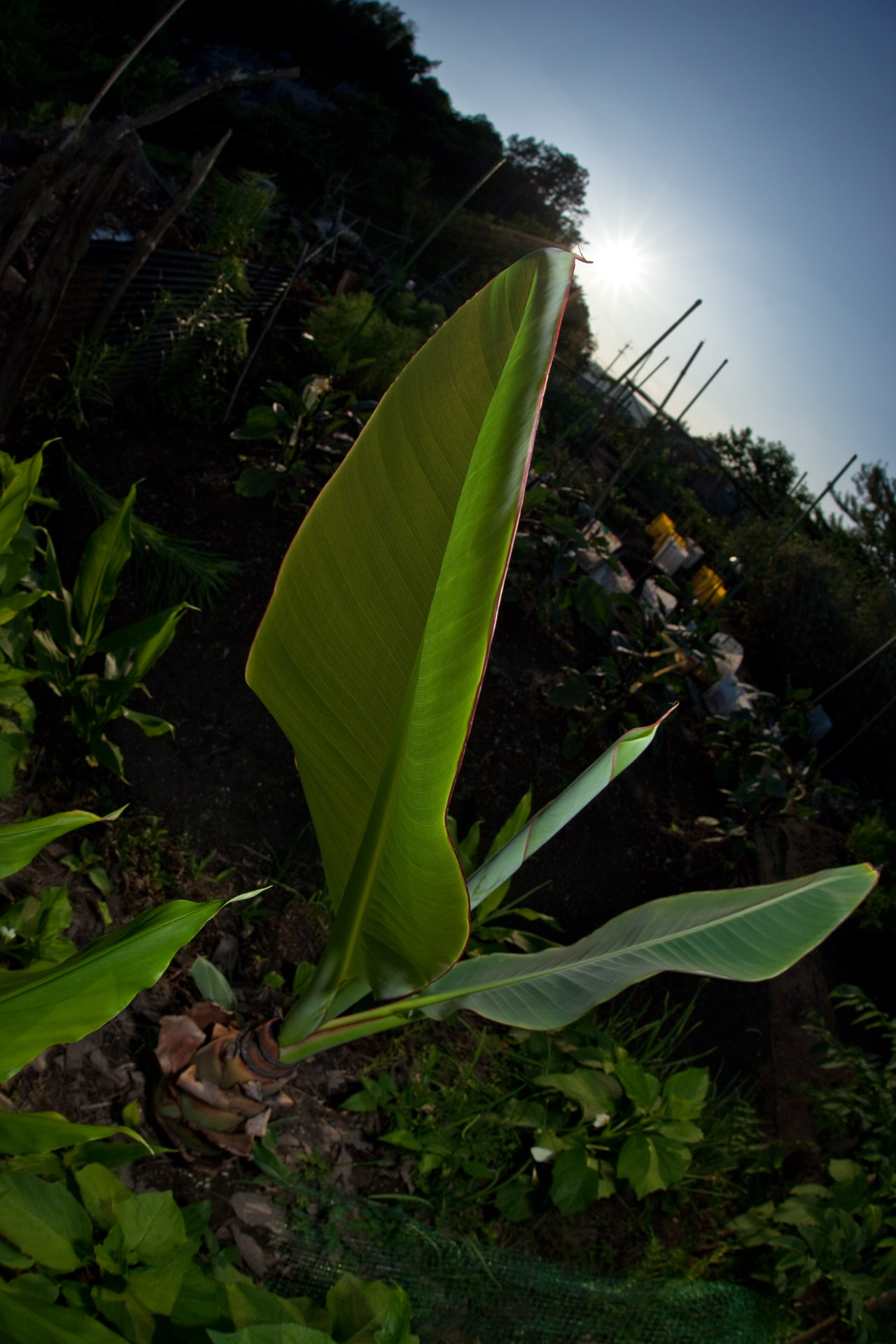 d0073620_21215513.jpg