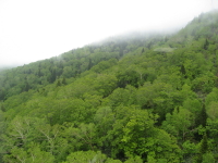 b0147224_23283874.jpg