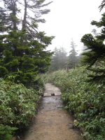 b0147224_23325242.jpg