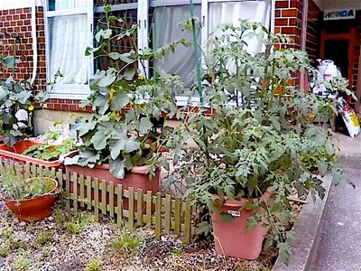 b0020028_18284162.jpg