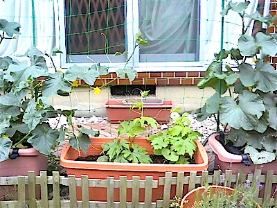 b0020028_18352381.jpg