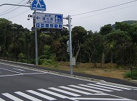 道の駅 鷹ら島  長崎のグルメ  _d0086228_1631871.jpg