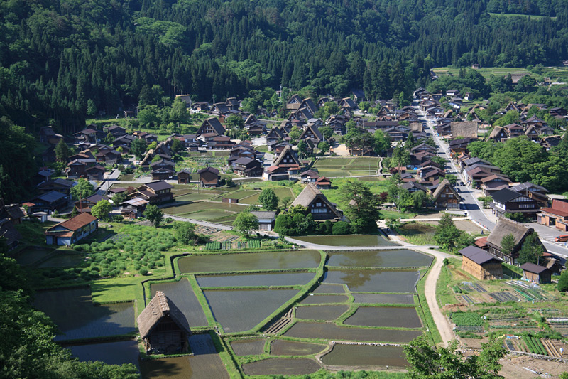 白川郷_e0025930_2223076.jpg