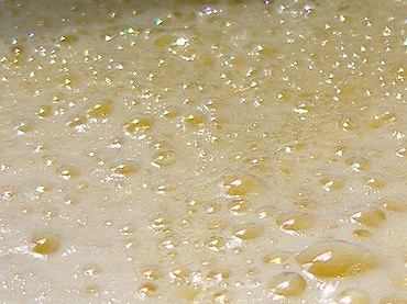 c0056437_052324.jpg