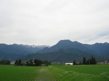 a0014840_15531725.jpg