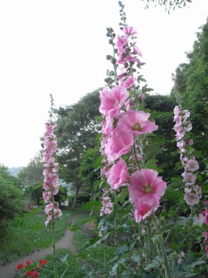c0119142_543149.jpg