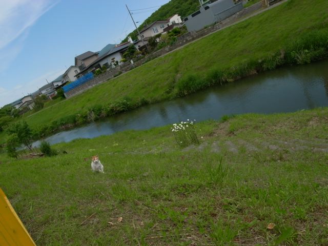 c0184643_20231911.jpg