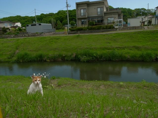 c0184643_20233750.jpg