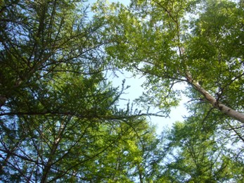 e0100046_1847463.jpg