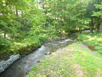 e0100046_18495961.jpg