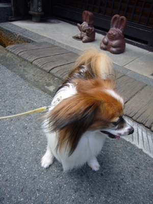 e0100046_19234132.jpg