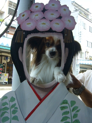 e0100046_19314548.jpg