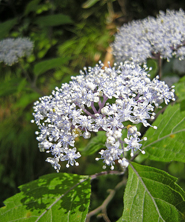 a0001354_2231036.jpg