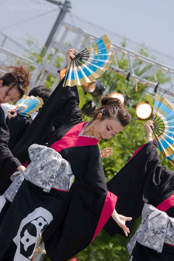 第六回　犬山踊芸祭　その弐_c0191355_2351426.jpg