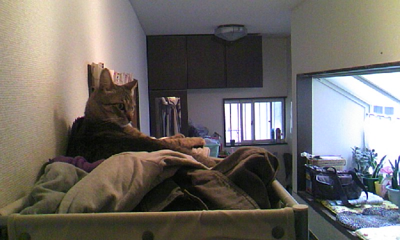 a0075358_3112268.jpg