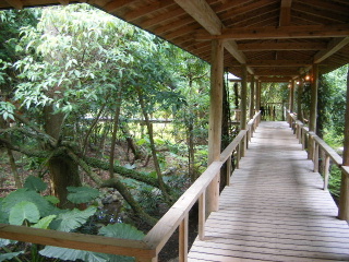 f0043559_11312233.jpg
