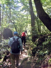 f0043559_12154493.jpg