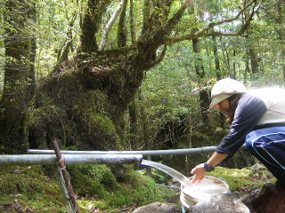f0043559_12162257.jpg