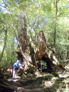 f0043559_12164040.jpg