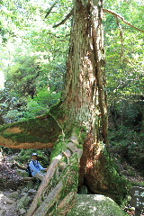 f0043559_1216638.jpg