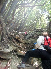 f0043559_1217026.jpg