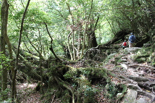 f0043559_12174497.jpg