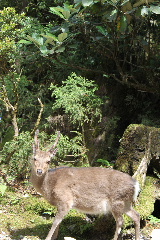 f0043559_12192036.jpg