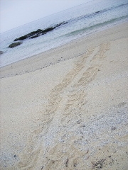 f0043559_12554122.jpg