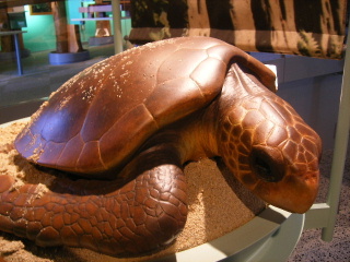 f0043559_12564991.jpg