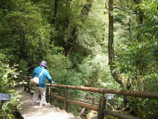 f0043559_1351784.jpg