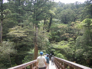 f0043559_1352518.jpg