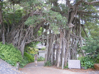 f0043559_1365972.jpg