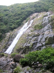 f0043559_1371041.jpg