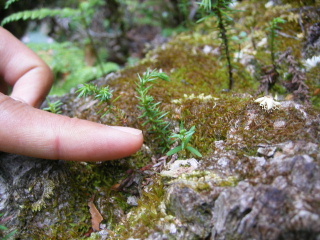 f0043559_19392922.jpg