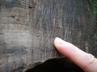 f0043559_19401860.jpg
