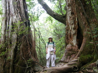 f0043559_19402841.jpg