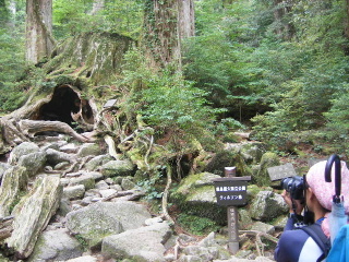 f0043559_19403721.jpg