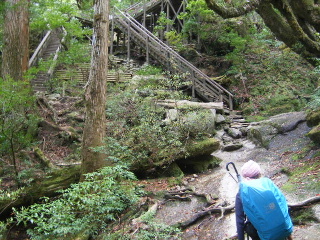 f0043559_19415545.jpg
