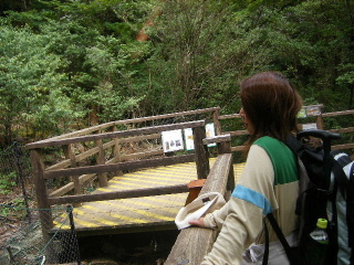 f0043559_1942143.jpg