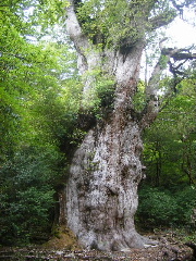 f0043559_19425319.jpg