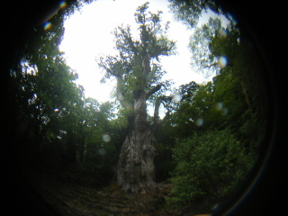 f0043559_232644100.jpg